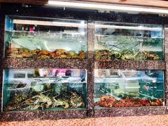 水产区-龙眼市场(龙眼南路店)