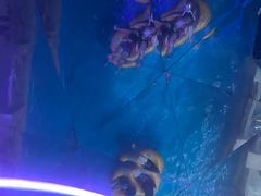 -青岛东方影都融创水世界