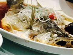清蒸鲈鱼-新海渔港·胶东海鲜家常菜·家宴(奥体中心店)