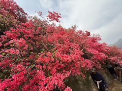 -木兰云雾山
