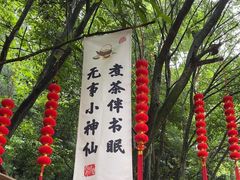 -青城山