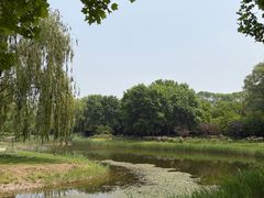 -圣露庄园·露营·烤肉·亲子