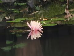 -望江楼公园