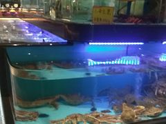 -阿伟海鲜楼·福建菜(延寿店)