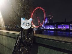 -伦敦眼