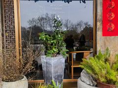 -青藤茶馆(南山路店)