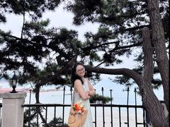 -小麦岛公园
