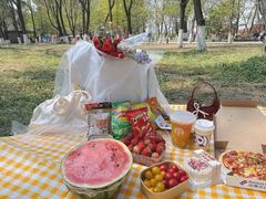 -长白岛森林公园