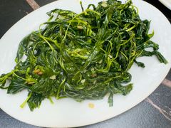 -吴记富苑(朝阳店)