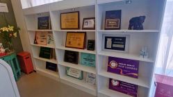 -联合丽格·张菡丽格医疗美容