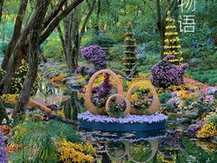 -上海共青森林公园