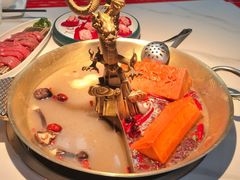 -小龙翻大江文化火锅(宽窄店)