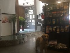 -百好乐宠物友好餐厅(朝外大街店)