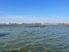 -鹅湖玫瑰文化园