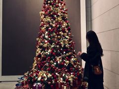 -上海柏悦酒店·世纪100牛排馆