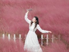 -嘉北郊野公园