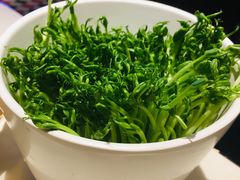 有机豆苗-一哥澳门豆捞·澳门风打边炉(高德置地店)