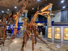 -国家自然博物馆