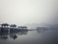 -老炳·七丛松甘草水果