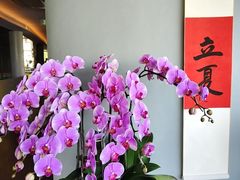 -茶人村·前滩江景雅宴(上海首店)