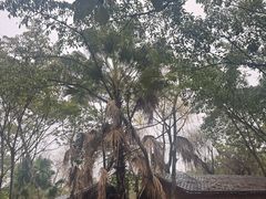 -巴山一绝烤全羊(三圣乡刘家花园店)