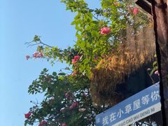 -小草屋轰趴馆别墅派对新场团建家庭聚会