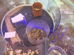 -火福·天湖阁大闸蟹博物馆主题餐厅(浅水湾店)