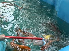 -海合安成都极地海洋公园