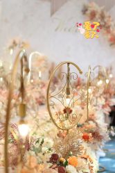 -红丝高端婚礼中心(旗舰店)
