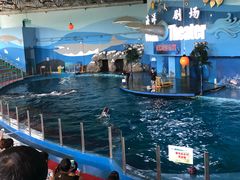 -苏州海洋馆