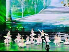 -小荧星艺校(浦东中环分校)