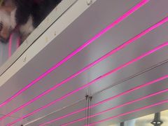 -移动谜城·大笨象密室逃脱(五棵松店)