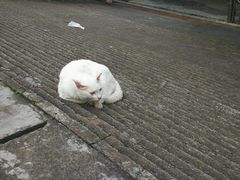 -广东外语外贸大学(白云山校区)