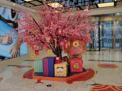 -凯德MALL(望京店)