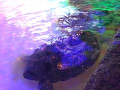 -华夏文旅西安度假区