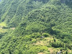 -鹿院坪生态旅游景区