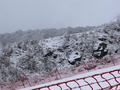 -太子岭滑雪场