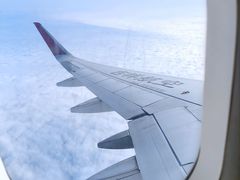 -上海浦东国际机场T1航站楼-P1停车场