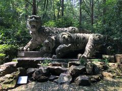 -虎跑公园