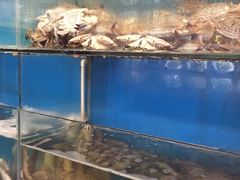 华盛丰温州大排档-华盛丰温州大排档(东三环南路店)