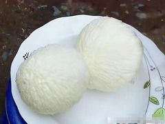 -东郊椰林
