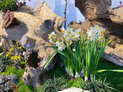 -宫事颐庭·老佛爷贵寿下午茶(颐和园店)