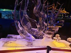 -长春市南湖公园