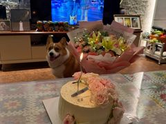-山与蓝·轻糖鲜果蛋糕(勒泰店)