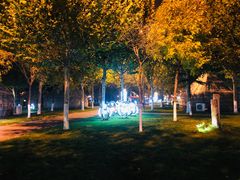 -九十九顶毡房(阜石路店)