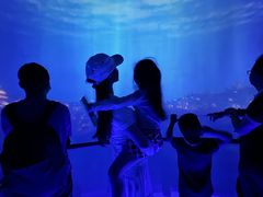 -Behring World of Animals(上海自然博物馆店)