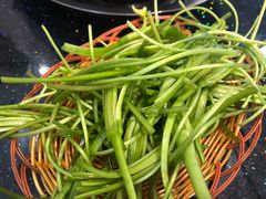 -草墩罗非鱼庄•野生菌•腊排骨(七星街上段店)