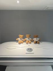 -三只熊皮肤管理中心旗舰店
