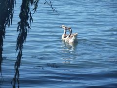 -丽江泸沽湖景区