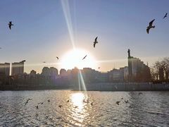 -全明星滑冰俱乐部(万象城店)